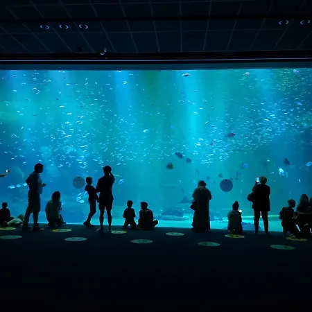 Un Instant Avec Vous